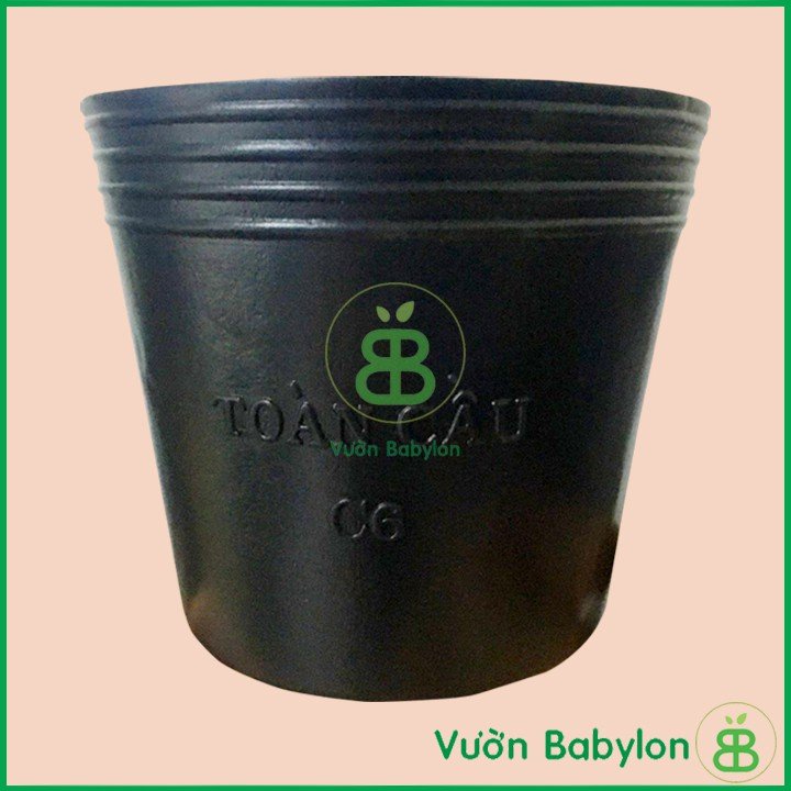 Chậu Nhựa C6 Chuyên Dùng Cho Ươm Cây Con 2