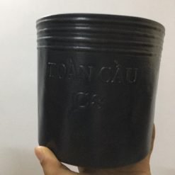 Chậu Nhựa C8 Chuyên Dùng Cho Ươm Cây Con