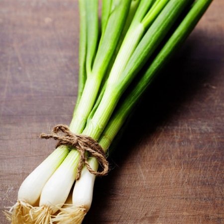 Hạt Giống Hành Lá Gốc Trắng Cao Sản – PN