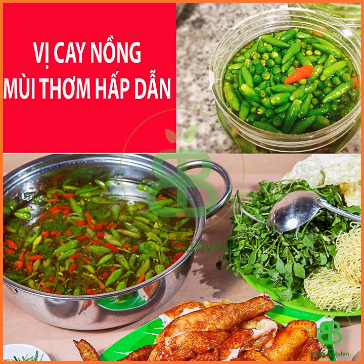 Hạt Giống Ớt Xiêm Thái Lan Dễ Trồng – PN 3