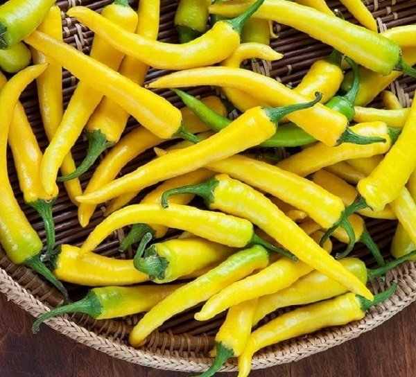 Hạt Giống Ớt Sừng Vàng F1 Sai Trái – PN