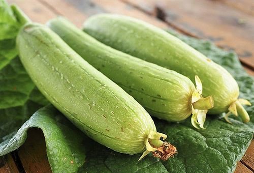 Hạt Giống Mướp Hương F1 – PN