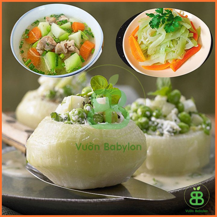 Hạt Giống Su Hào Xanh 2Gr – PN 2