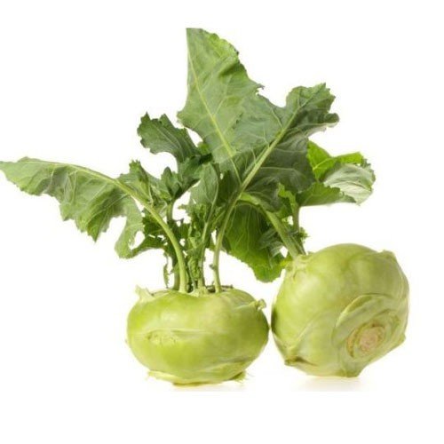 Hạt Giống Su Hào Xanh 2Gr – PN