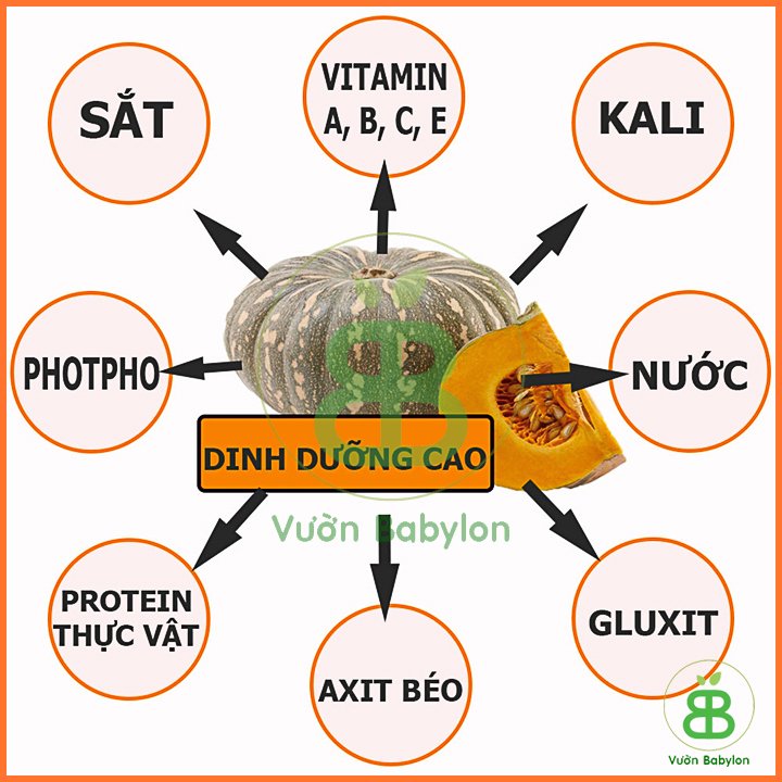 Hạt giống Bí Đỏ Super Star PN350 – Gói 2 gram 2