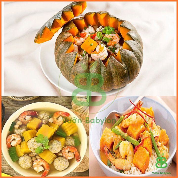 Hạt giống Bí Đỏ Super Star PN350 – Gói 2 gram 3