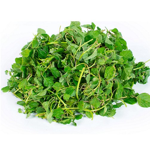 Hạt Giống Rau Dền Cơm 10Gr – PN