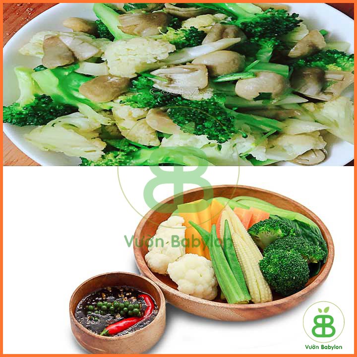 Hạt Giống Bông Cải Trắng – Súp Lơ Trắng Dễ Trồng – PN 2