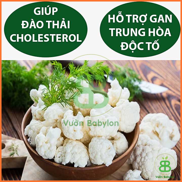 Hạt Giống Bông Cải Trắng – Súp Lơ Trắng Dễ Trồng – PN 3