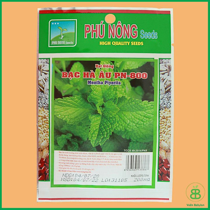 Hạt Giống Húng Lũi 0,2Gr (Bạc Hà Âu) – PN 3