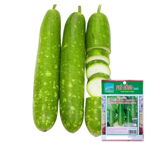 Hạt Giống Bầu Sao F1 – PN