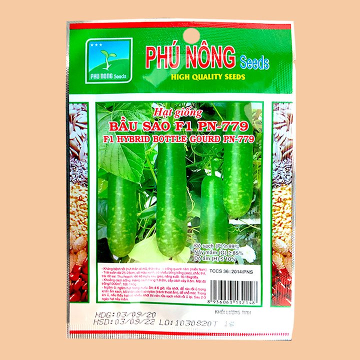 Hạt Giống Bầu Sao F1 – PN 2