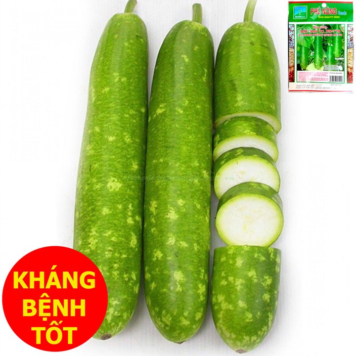 Hạt Giống Bầu Sao F1 – PN 3