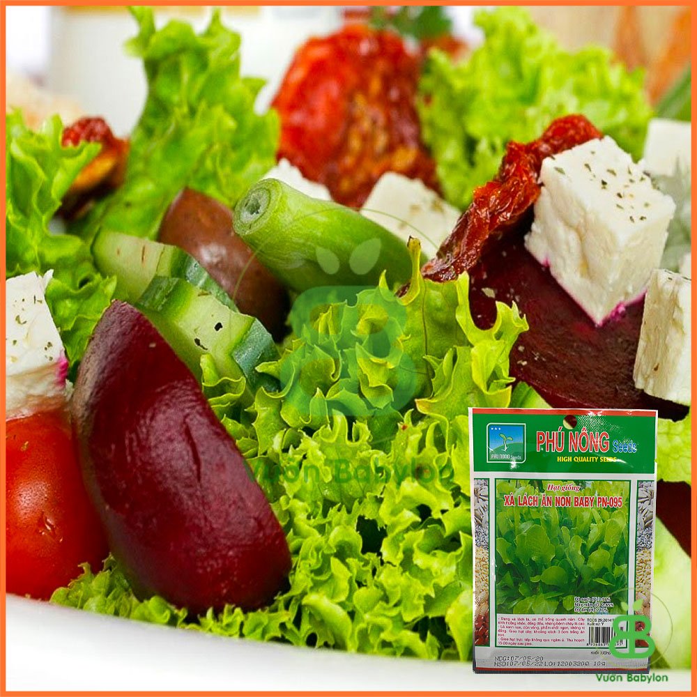 Hạt Giống Xà Lách Ăn Non 10GR – PN 2