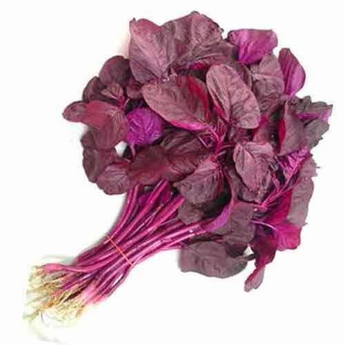 Hạt Giống Rau Dền Đỏ Cao Sản 20Gr – PN