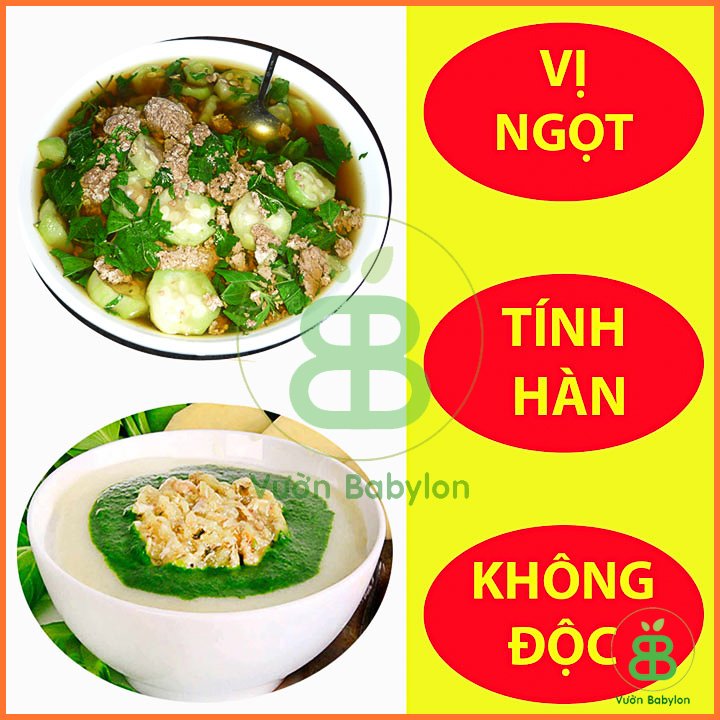 Hạt Giống Rau Đay Xanh Dễ Trồng 20GR – PN 2
