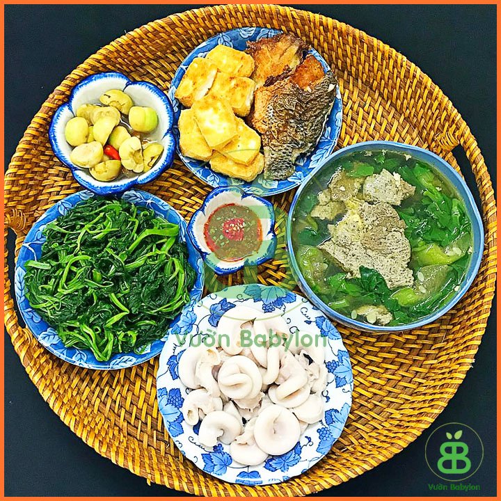 Hạt Giống Rau Đay Đỏ 20Gr – PN 2