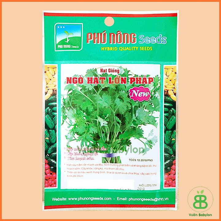 Hạt Giống Ngò Rí (Rau Mùi) 20Gr – PN 2