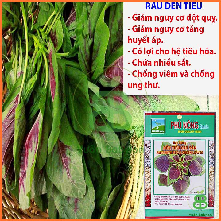 Hạt Giống Rau Dền Tiều 20Gr – PN 3
