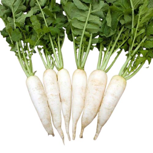 Hạt Giống Củ Cải Trắng 20Gr Củ To, Năng Suất Cao – PN 2