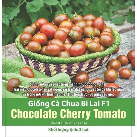 Hạt Giống Cà Chua Bi Chocolate Cherry RADO 2
