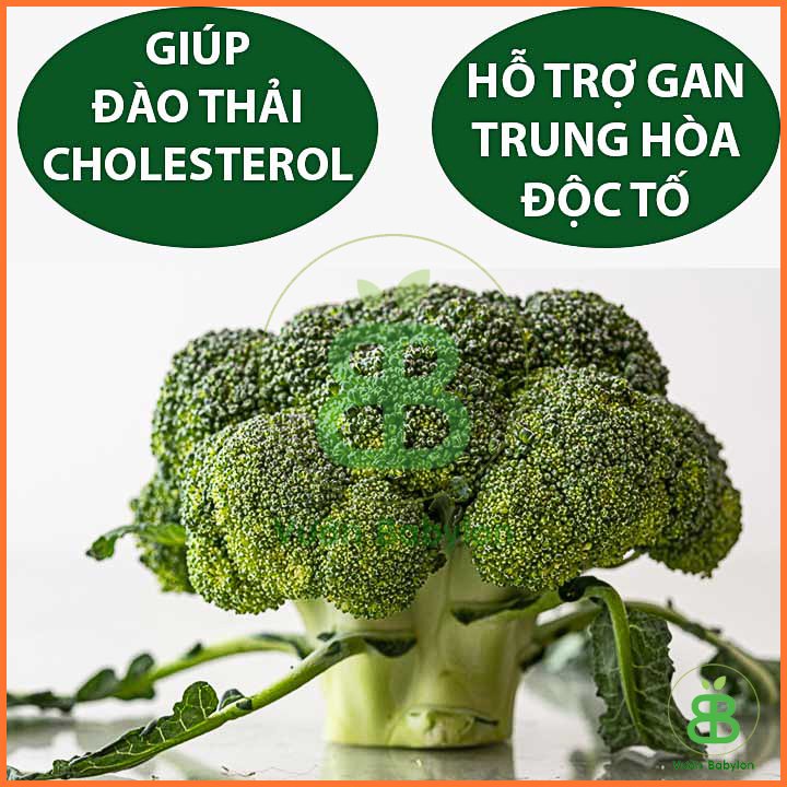 Hạt Giống Súp Lơ Xanh (Bông Cải Xanh) 0,5G – PN 3