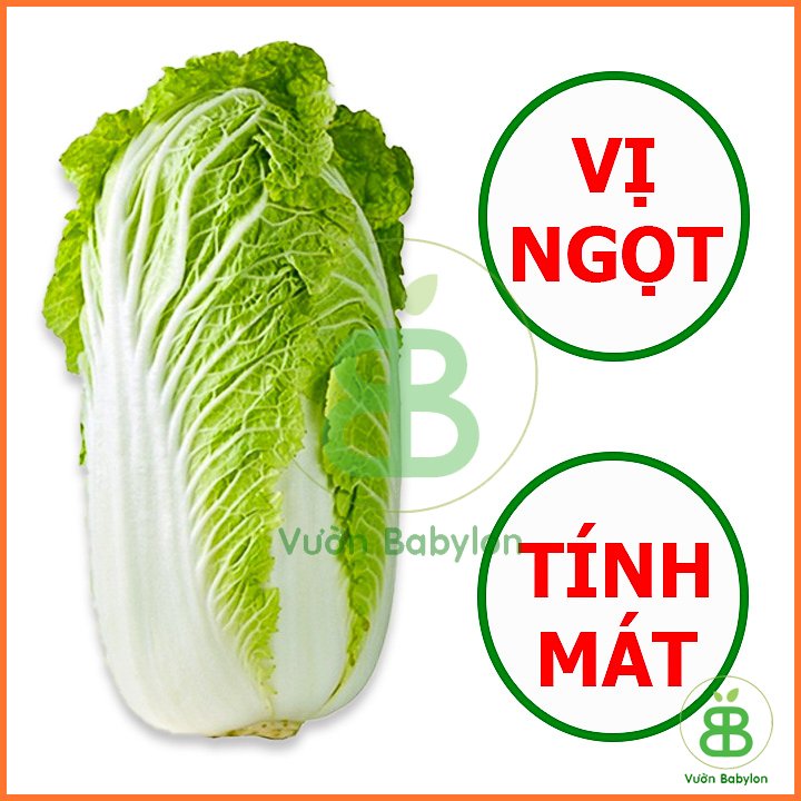 Hạt Giống Cải Thảo Giàu Dinh Dưỡng 0,5G RADO 3