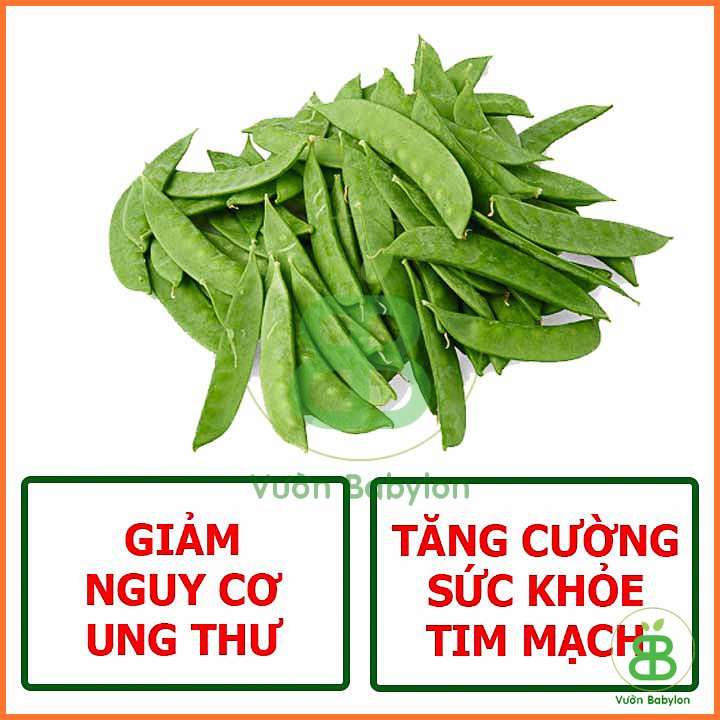 Hạt Giống Đậu Hà Lan (Thu Trái) Năng Suất Cao 20G -Rado 2