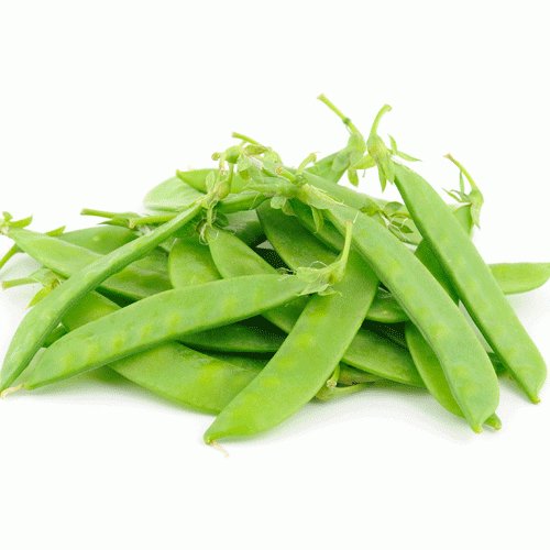 Hạt Giống Đậu Hà Lan (Thu Trái) Năng Suất Cao 20G -Rado