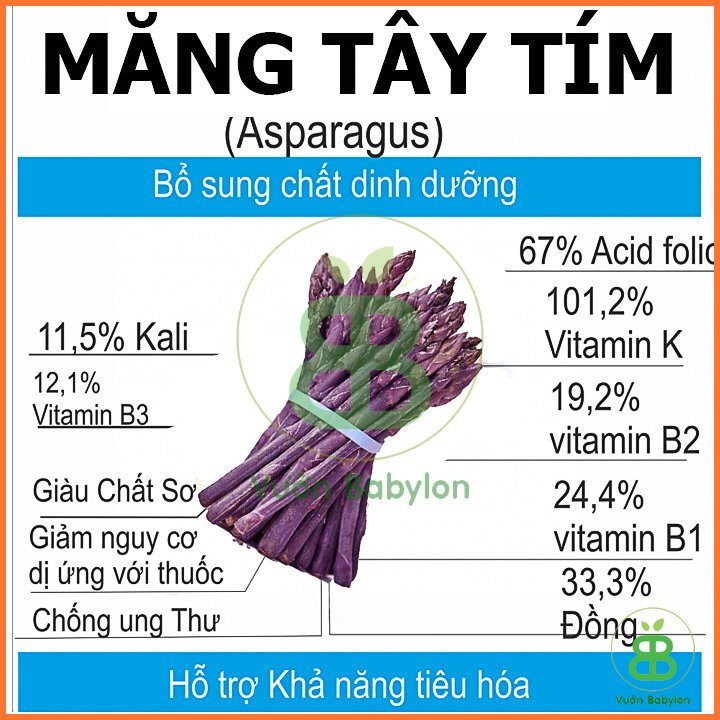 Hạt giống Măng Tây Tím RADO – 0,2G Dễ Trồng 2