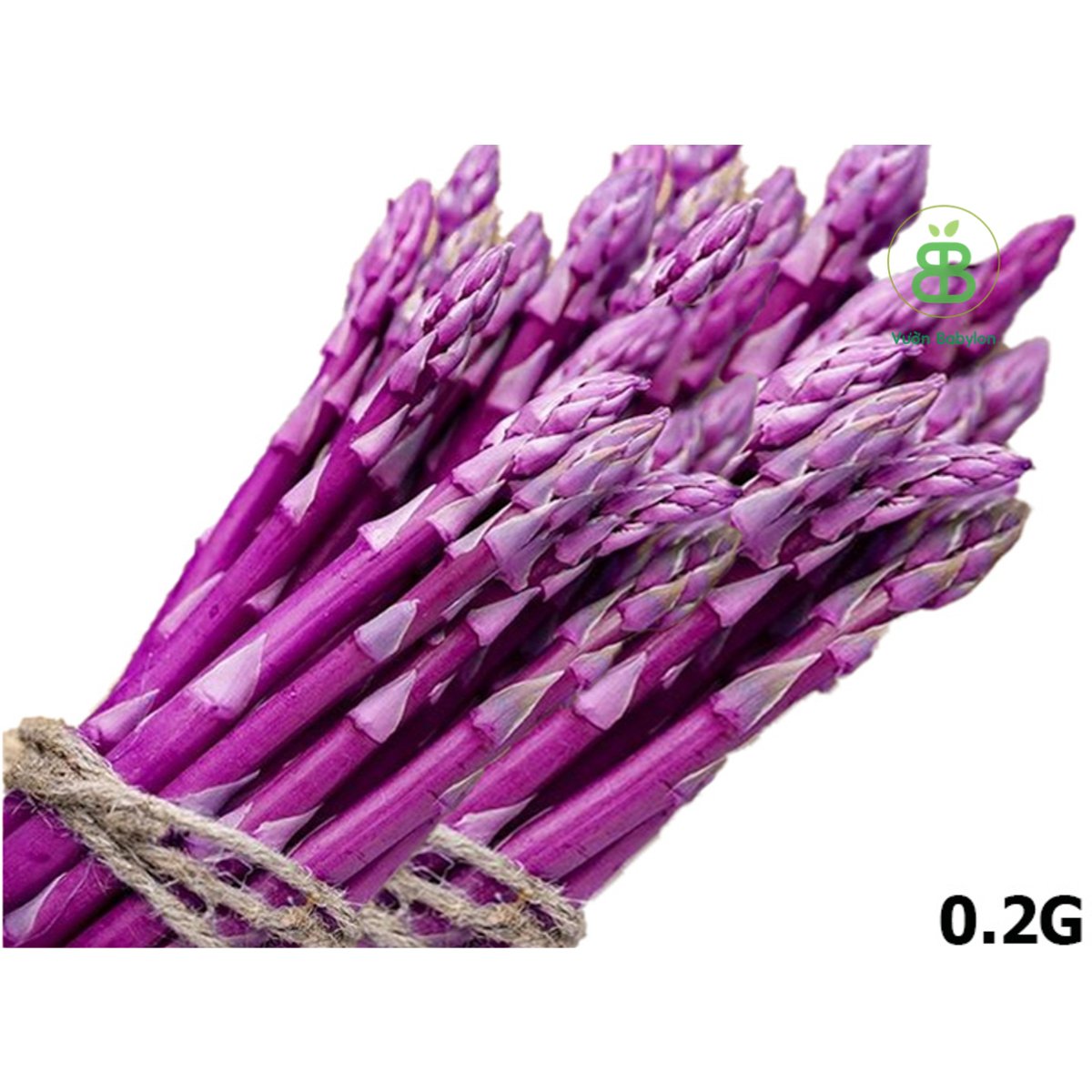 Hạt giống Măng Tây Tím RADO – 0,2G Dễ Trồng
