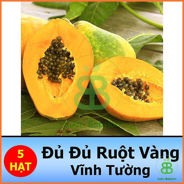 Hạt Giống Đu Đủ Lùn Ruột Vàng Carinosa East-West Seed 3