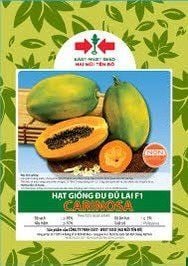 Hạt Giống Đu Đủ Lùn Ruột Vàng Carinosa East-West Seed 2