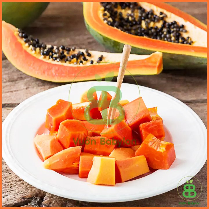 Hạt Giống Đu Đủ Ruột Đỏ Siêu Trái Sapna East-West Seed 3