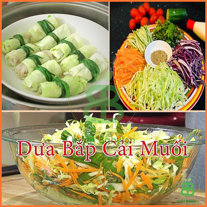 Hạt Giống Bắp Cải Xanh Lai RADO 2