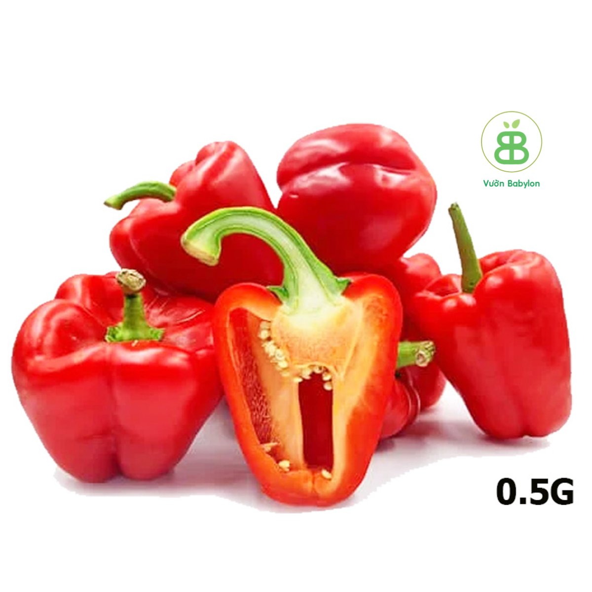 Hạt Giống Ớt Chuông RADO 0,5Gr