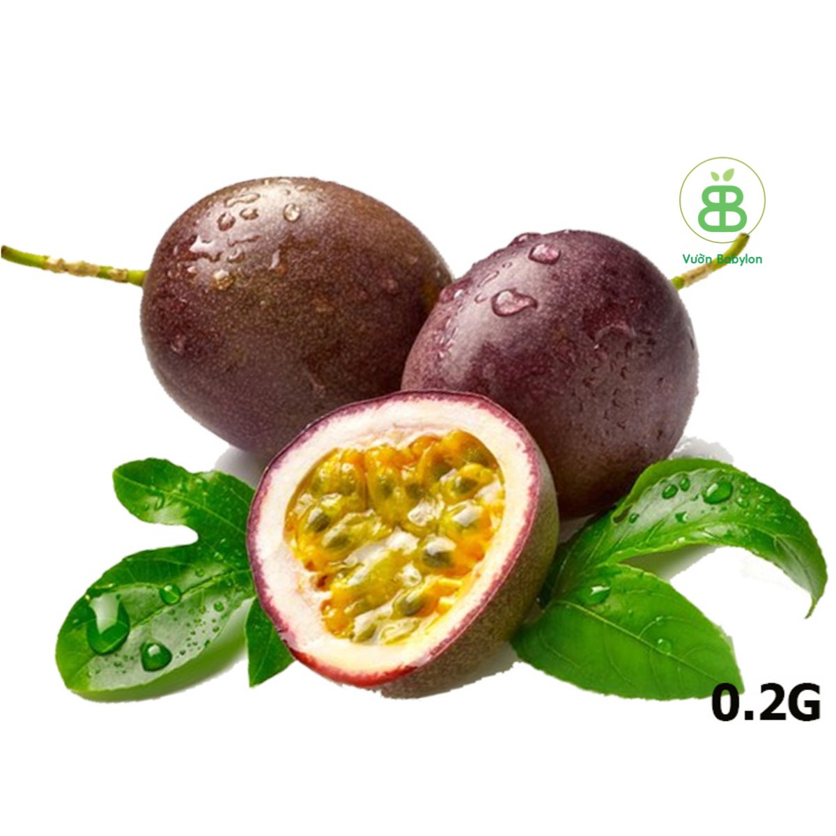 Hạt Giống Chanh Leo (Dây) RADO 0,2G