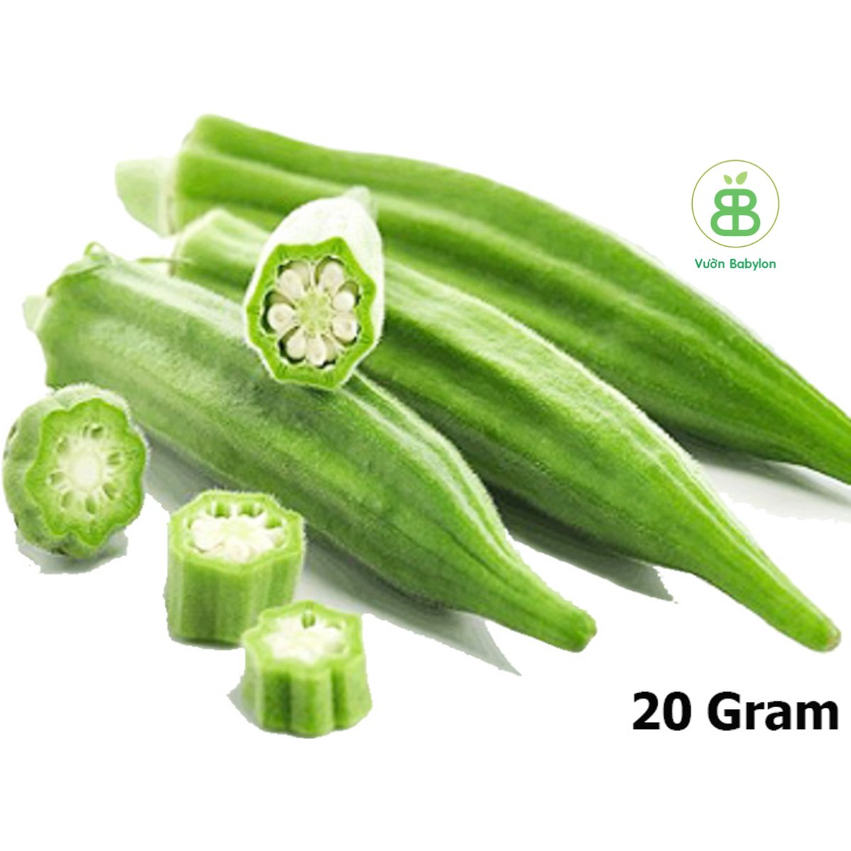 Hạt Giống Đậu Bắp Xanh RADO 20Gr