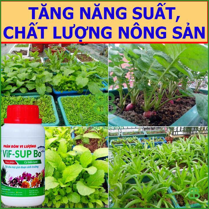 Phân Đạm Cá Thủy Phân Lavamix Vif-Sup Bo Chai 100ml 3