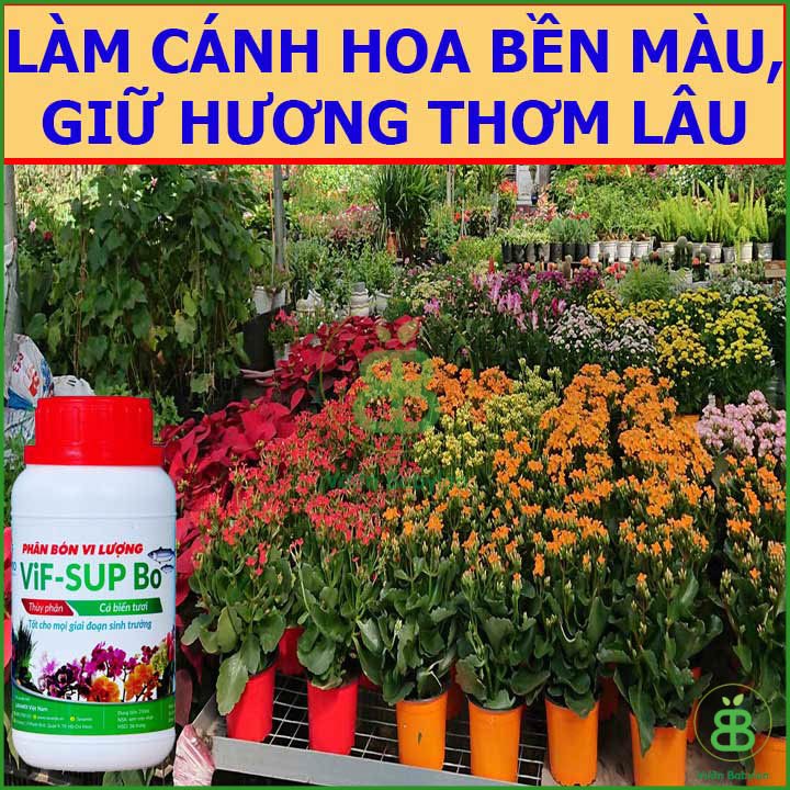 Phân Đạm Cá Thủy Phân Lavamix Vif-Sup Bo Chai 100ml 2