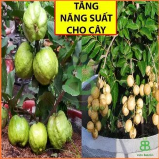 Phân Ure Đạm Phú Mỹ 1kg 3