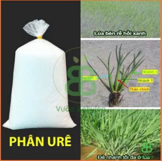 Phân Ure Đạm Phú Mỹ 1kg 2