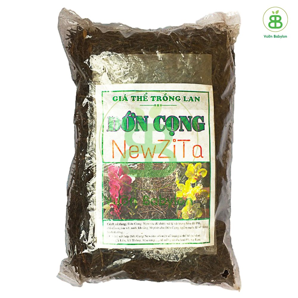 Dớn Cọng Trồng Lan – 500gr