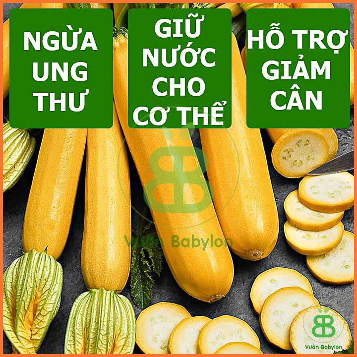 Hạt Giống Bí Ngòi Vàng RADO 3