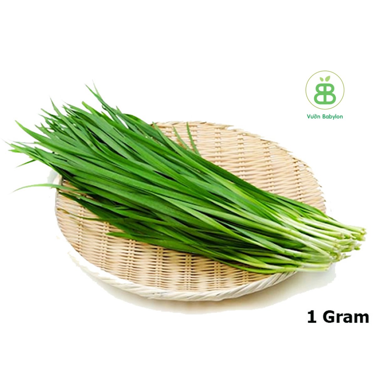 Hạt Giống Hẹ Ta 1Gr RADO
