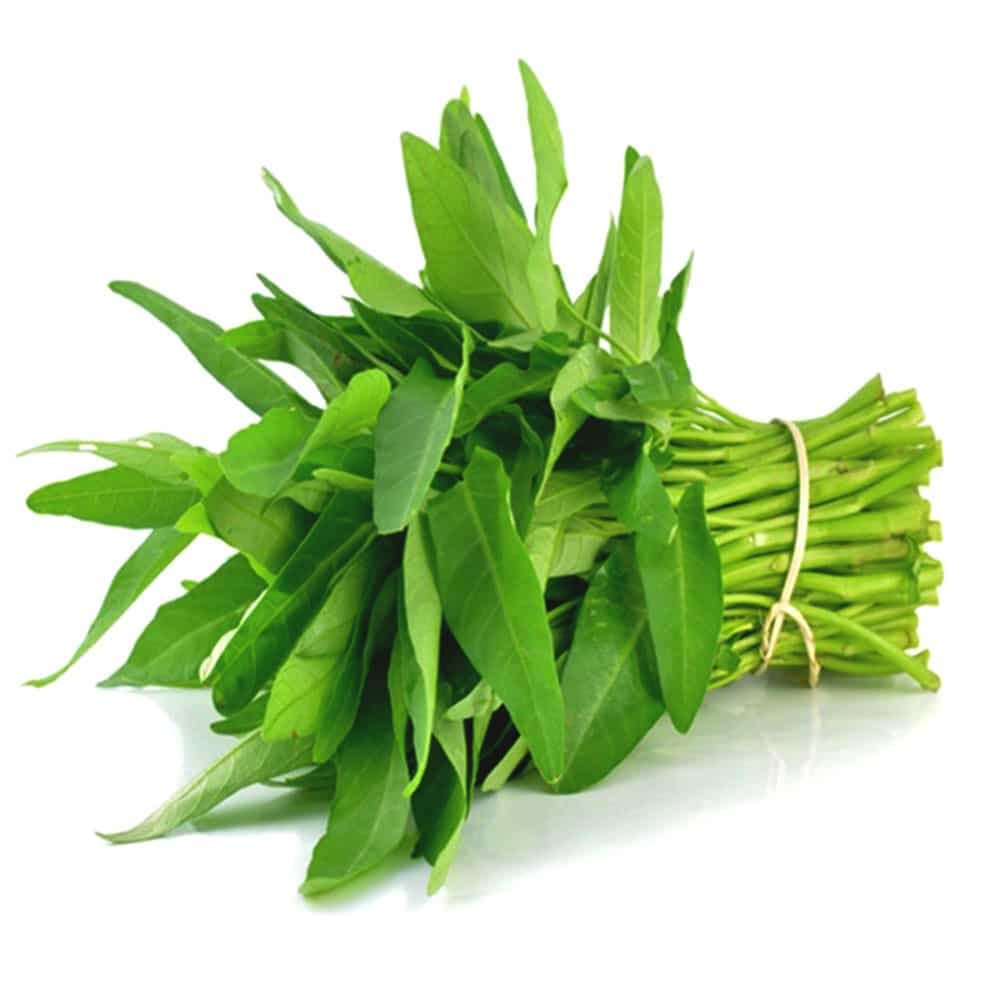 Hạt giống Rau Muống Lá Lớn PN