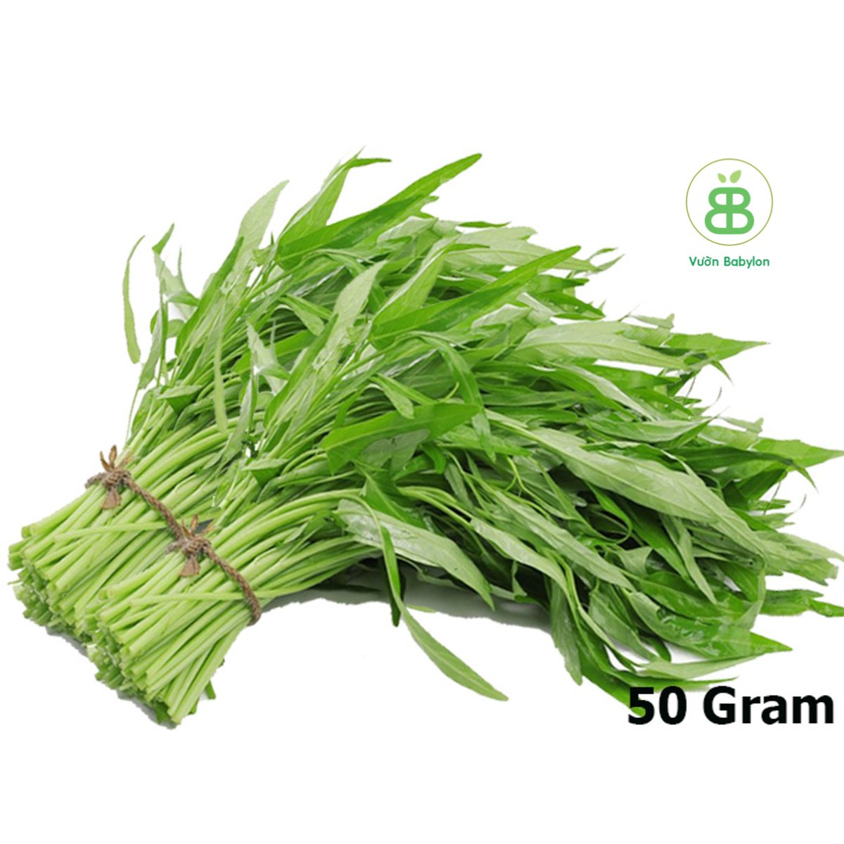 Hạt Giống Rau Muống Lá Tre 50Gr RADO