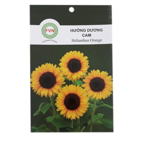 Hạt Giống Hoa Hướng Dương Cam FVN
