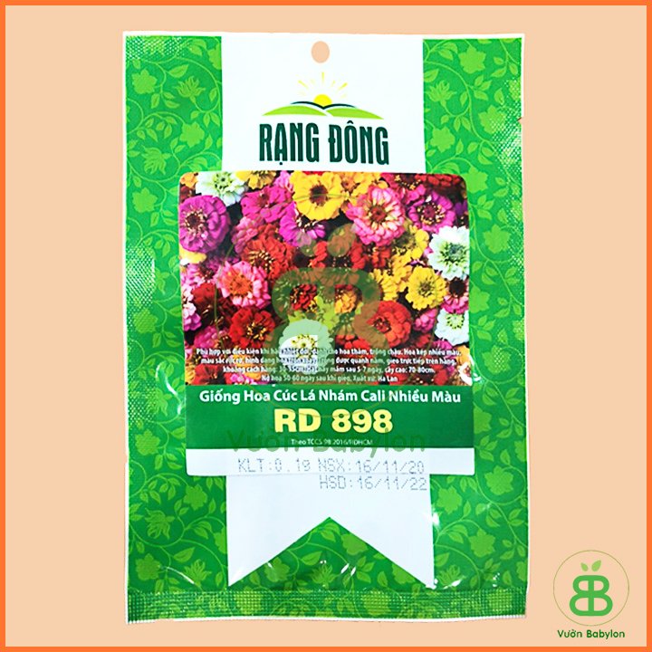 Hạt Giống Hoa Cúc Lá Nhám RADO 3