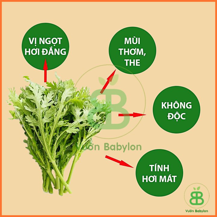 Hạt Giống Rau Tần Ô RADO 20gr 3